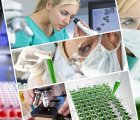 Yeni İlaçlara Erişmek İçin Kimler Klinik Araştırmalara Katılabilir? Ülkemizdeki Durum Nedir?