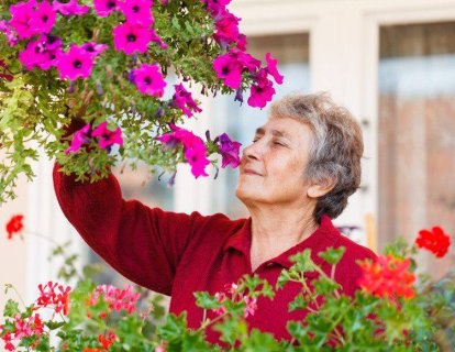 Koku Alamamak Bilişsel Bozukluklar ve Alzheimer Demans Erken Belirtisi Olabilir
