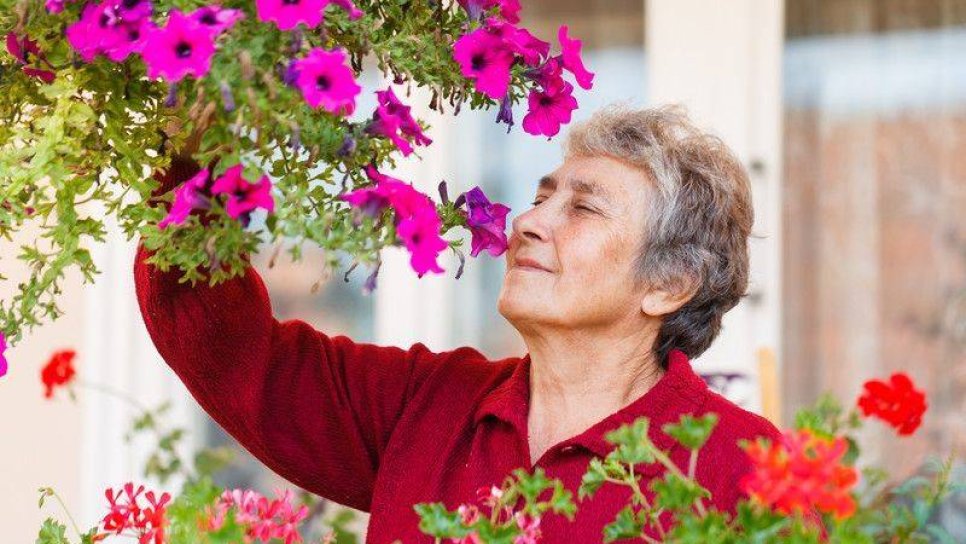 Koku Alamamak Bilişsel Bozukluklar ve Alzheimer Demans Erken Belirtisi Olabilir