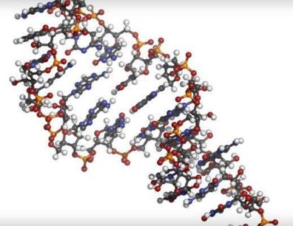 Kolorektal Kanserin Erken Tanısında Yeni Bir Yöntem; Kanda Mikro RNA-21 Düzeyi