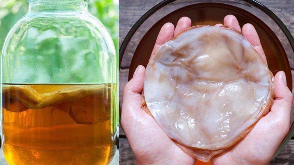Kombu çayı nedir? İnanılmaz faydalı mı yoksa yeni bir aldatmaca mı?