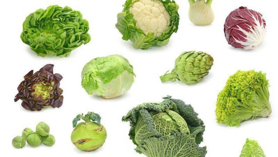 Lahana ve turpgillerin faydaları – sağlıklı bir lahana çorbası tarifi