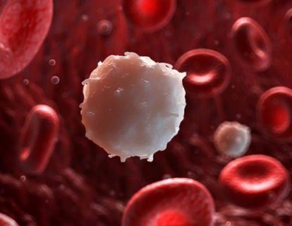 Lenf kanseri tedavisinin yeni silahı ibrutinib’in etkisi, ofatumumab’a kıyasla daha etkili midir?
