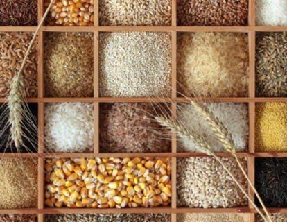 Liften Zengin Beslenme Barsak Kanseri Riskini Azaltır Mı?