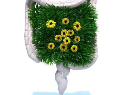 Mikrobiyatanın (Vücudumuzdaki Bakteri ve Mantar Gibi Mikroorganizmalar) Azalması Beyaz Yağ Dokusunu Esmerleştirerek Obeziteyi Azaltıyor Olabilir Mi?