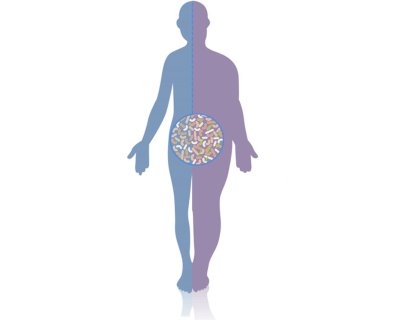 Mikrobiyota – yararlı bağırsak bakterileri, obez veya fazla kilolu olmayı nasıl etkiliyor?