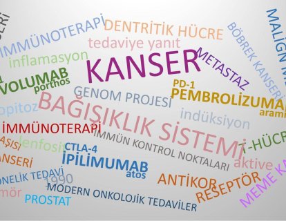 Modern Onkolojik Tedaviler Tarihin Gerçek Öyküsünü Yazıyor.. Onkolojik Tedavilerin Parlayan Üç Silahşorları; İpilimumab (Atos), Nivolumab (Porthos), Pembrolizumab (Aramis)