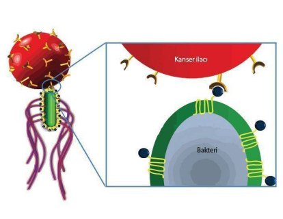 NanoRobotlar: Kanser Tedavisinin Geleceği