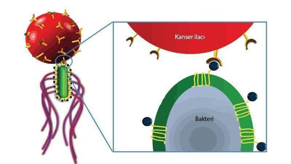 NanoRobotlar: Kanser Tedavisinin Geleceği