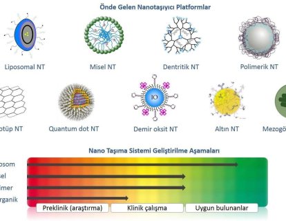 Nanotanecik nedir, örnekleri nelerdir? Kanser tanısında nanoteknoloji