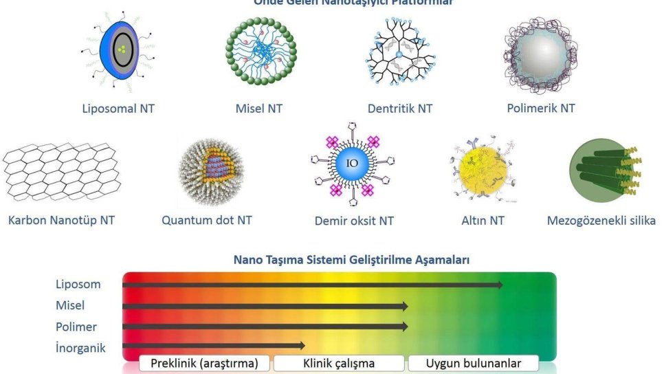 Nanotanecik nedir, örnekleri nelerdir? Kanser tanısında nanoteknoloji
