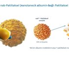 Radyoduyarlaştırıcılar, Nanoterapötikler, Nanotanecik Albumin-Bağlı Paklitaksel
