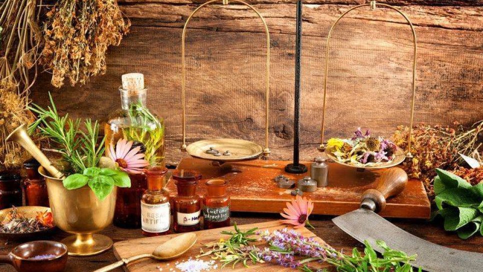 Bitkiler, Vitaminler, Fitoterapi ve Diğer Şeyler İçin Bir Hatırlatma