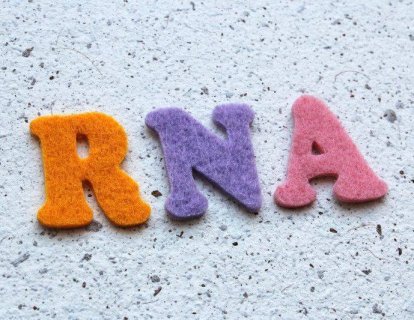 RNA nedir, ne işe yarar? Kanser tanı ve tedavisinde kullanımı