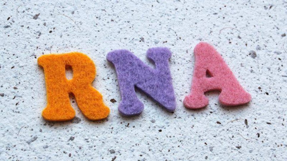 RNA nedir, ne işe yarar? Kanser tanı ve tedavisinde kullanımı