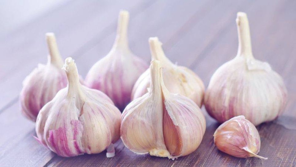 Sarımsağın kanser ve diğer hastalıklar üzerine etkileri