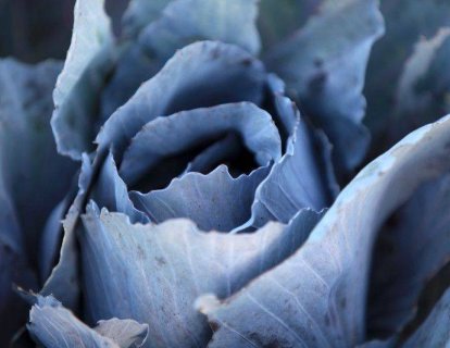 Serviks (Rahim Ağzı) Kanseri Hakkında Bilinmesi Gerekenler