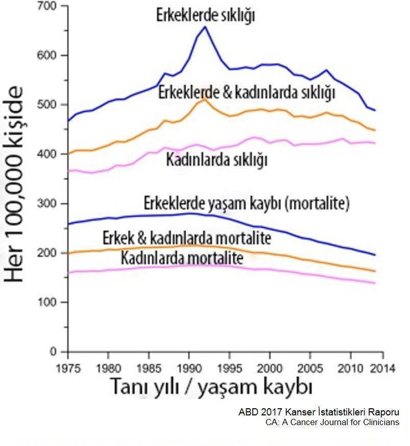 Son 25 yil icinde mortalite yuzde 25 azaldi 99710