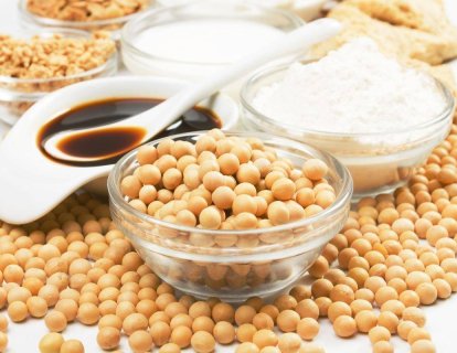 Soya Tüketimi ve Akciğer Kanseri: Araştırma Bulguları