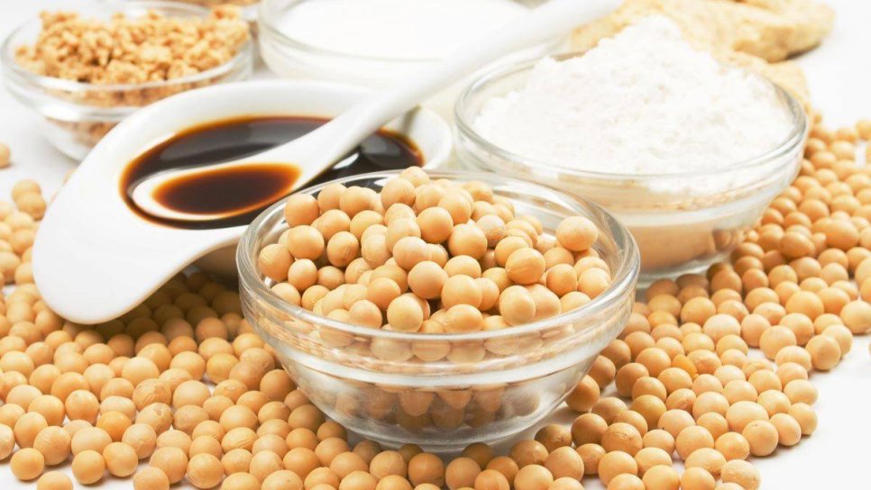 Soya Tüketimi ve Akciğer Kanseri: Araştırma Bulguları