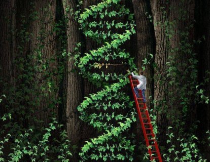 Standart Tedavilere Dirençli 4. Evre Prostat Kanserinde DNA Hasarı ve Tamiri Üzerine Etkili Yeni Bir İlaç: Olaparib (Lynparza)