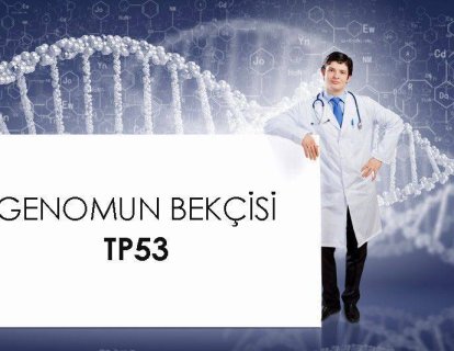 TP53 geni ve p53 proteini nedir? Kanserde TP53 mutasyon pozitifliği ne anlama gelmektedir?