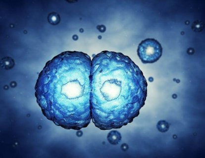 Tedaviye dirençli kanserler için çözüm ışığı: Mikro-RNA kullanımı