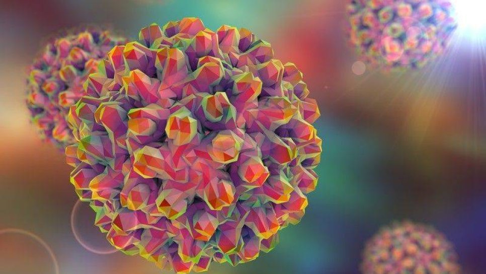 Virüs nedir? Virüslerin kısa tarihi ve kanser yapıcı virüsler
