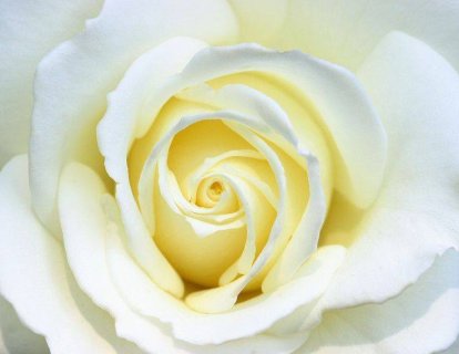 Vulva ve Vajina Kanseri Belirtileri, Tanısı ve Tedavisi