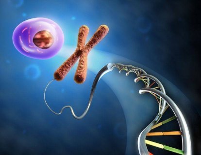 Yazı Dizisi: Telomer ve Kanser ilişkisi 2. Kanser Tedavisinde Telomer Hedefli İlaçlar