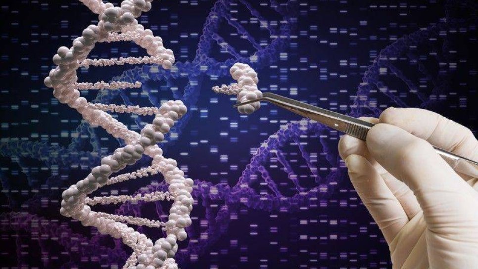 Yeni nesil CRISPR, genetik hastalıkların tedavisinde yüzde 99 başarı vaad ediyor