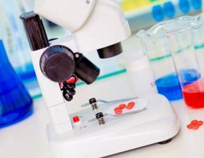 Yenileyen Veya Metastatik p16 HPV Negatif Baş Boyun Kanserlerinde Panitumumab Etkisi
