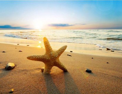 Yumurtalık (over) Kanseri: Etkili İmmünoterapi, Yeni T Hücre Çalışmasıyla Daha da Yakınlaşıyor