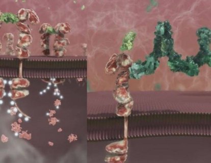 Yumuşak Doku Sarkomu İçin Olaratumab Yaşam Sürelerini Uzattığı İçin FDA Tarafından Öncelikli İncelemeye Alındı