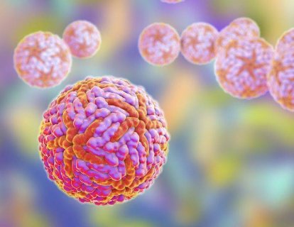 Zika Virüsü Beyin Tümörü GBM Tedavisinde Kullanılabilir Mi?