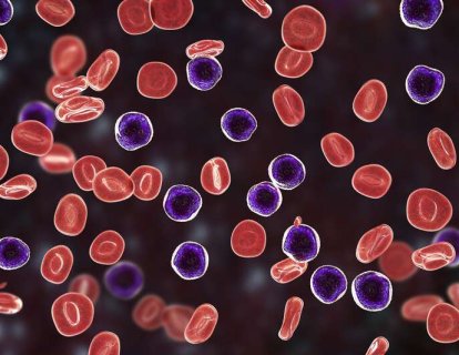 Kronik Lenfositik Lösemi ve Küçük Lenfositik Lenfoma İçin Acalabrutinib FDA Onayı Aldı