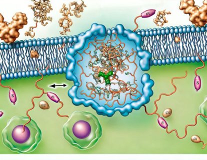Adagrasib (Krazati) Nedir? FDA Onayı, Türkiye Ruhsatı ve Geri Ödeme