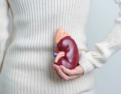 Adrenal (Böbrek Üstü Bezi) Metastaz Nedir? Hangi Kanserlerde Sık Gözükür?