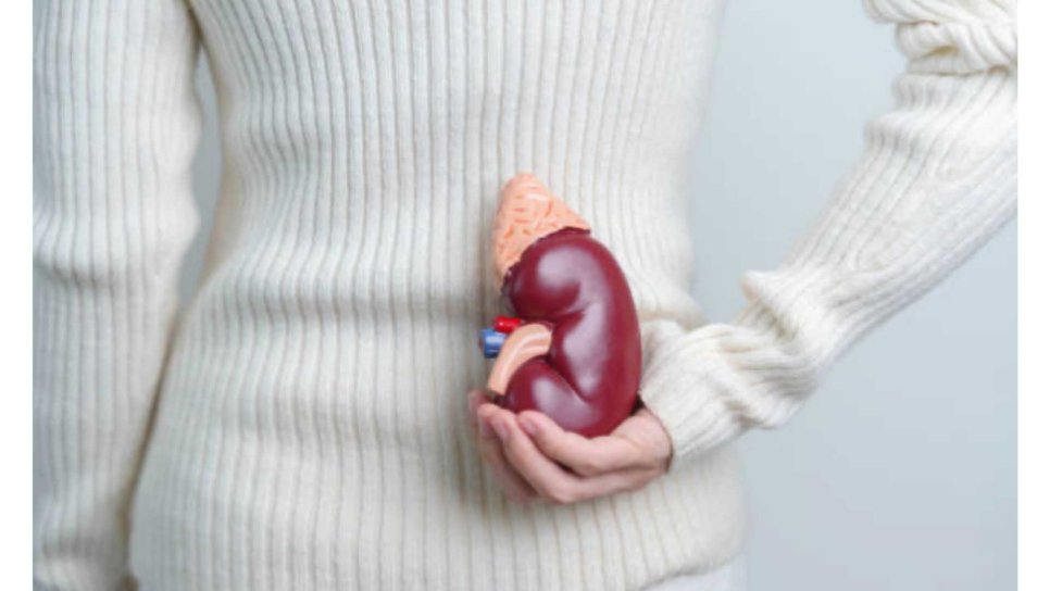 Adrenal (Böbrek Üstü Bezi) Metastaz Nedir? Hangi Kanserlerde Sık Gözükür?