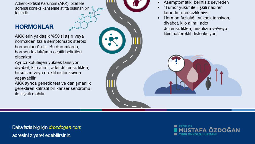 adrenokortikal kanser belirtileri nelerdir hormonlari nasil etkiler infografi 724380