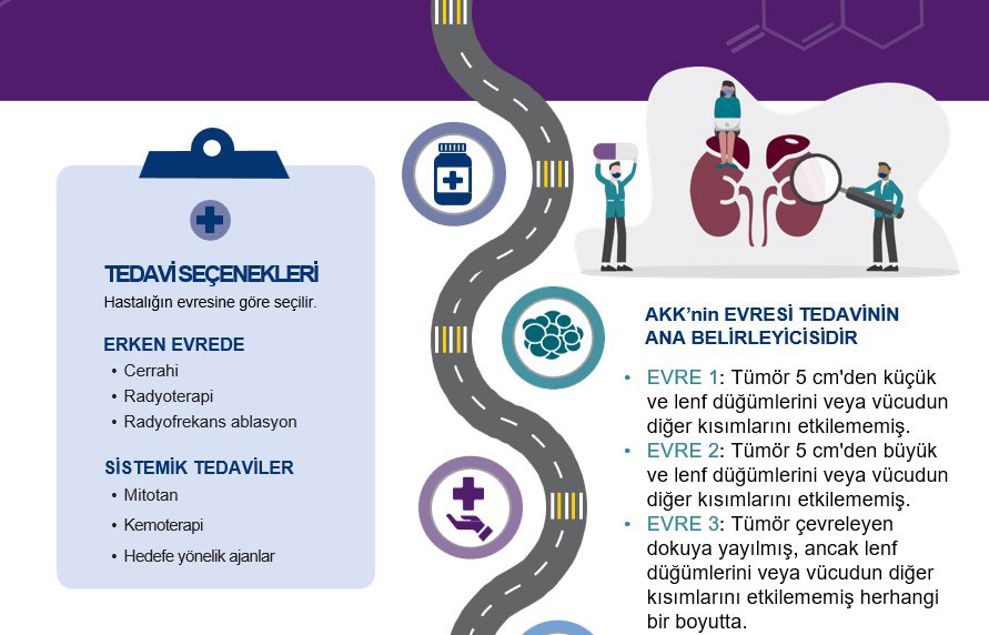 adrenokortikal kanser evreleri ve tedavisi nasildir infografi 202887