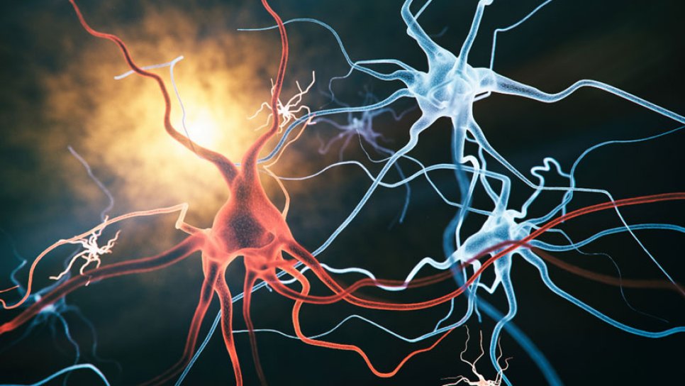 Aerobes Training verringert Symptome einer chemotherapiebedingten peripheren Neuropathie