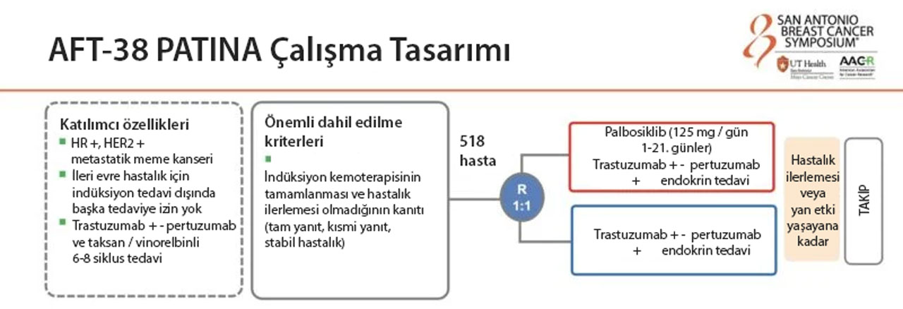aft 38 patina calisma tasarimi sabcs 2024 60944