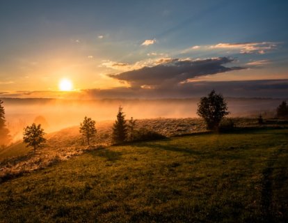 Ailesel malign melanom nedir? Kimler risk altında?