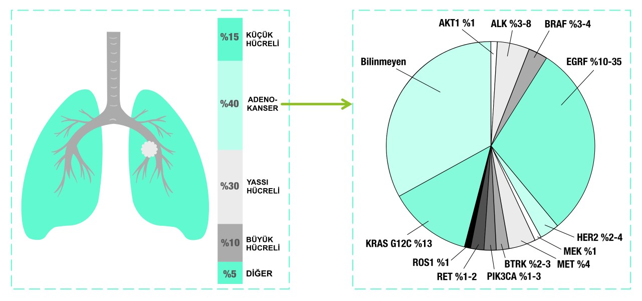 Subtypes of lung adenocarcinoma