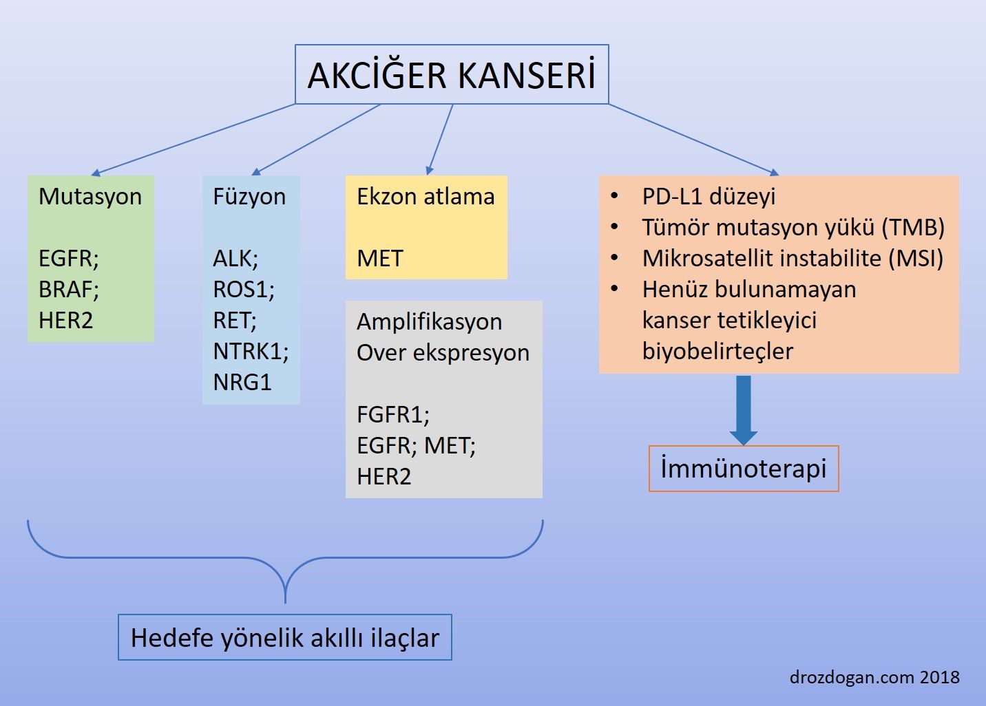 akciger kanseri akilli ilac hedefleri genetik degisimler biyobelirtecler mutasyon 233172