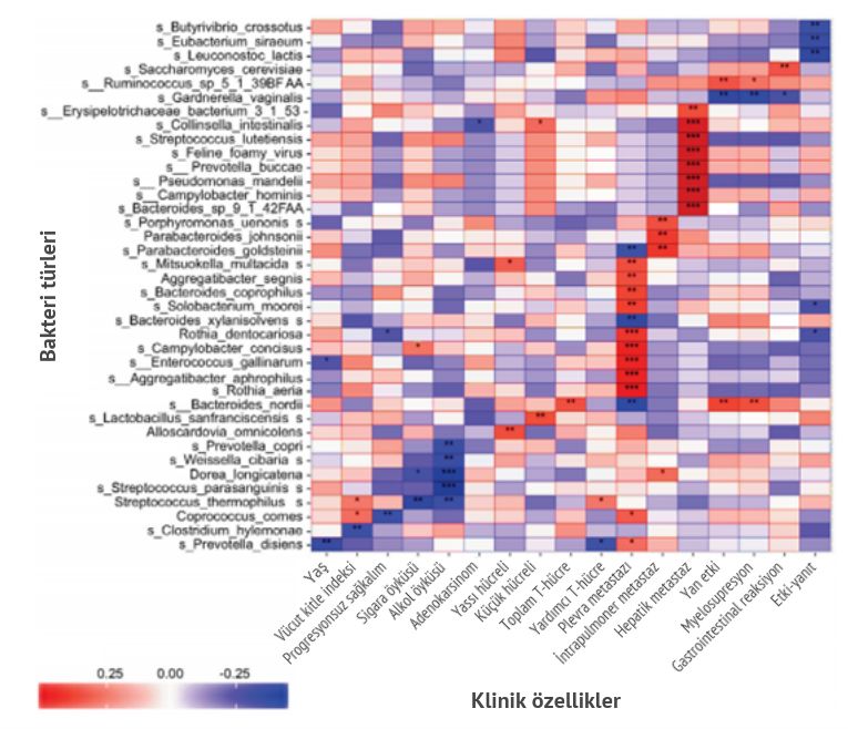 Association between bacterial species and clinical phenotypes in lung cancer