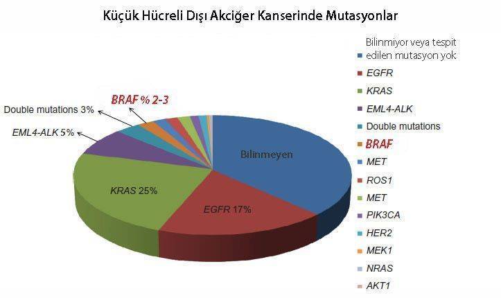 akciger kanseri tedavisi alt turlere gore yapilir mutasyonlar braf kucuk hucreli olmayan 304557