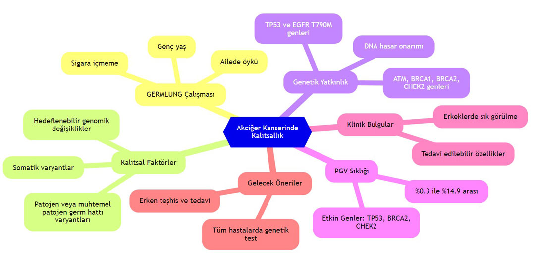 Hereditary factors in lung cancer: the GERMLUNG study