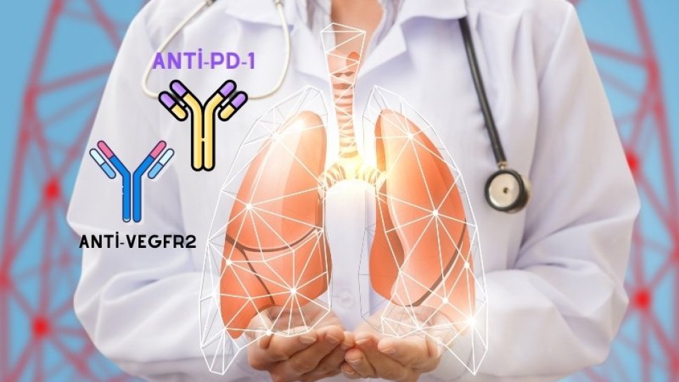Akciğer Kanserinde Önemli Gelişme: 2. Basamak Tedavide Ramucirumab artı Pembrolizumab